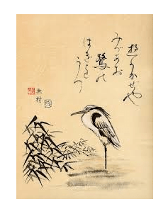 HAIKU WORKSHOP IMAGE